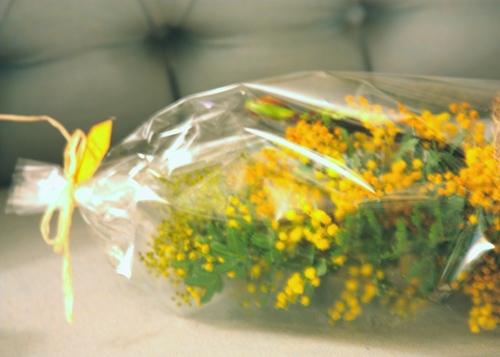 IMG_2383 - バージョン 2.JPGのサムネール画像